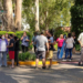 Crónicas anunciadas de Pinamar