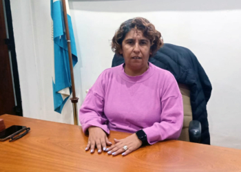 “Esto es una interna partidaria que traen al Concejo Deliberante”- Analía Figueroa