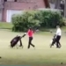 Ataque racista y clasista, por tomar mate en el golf